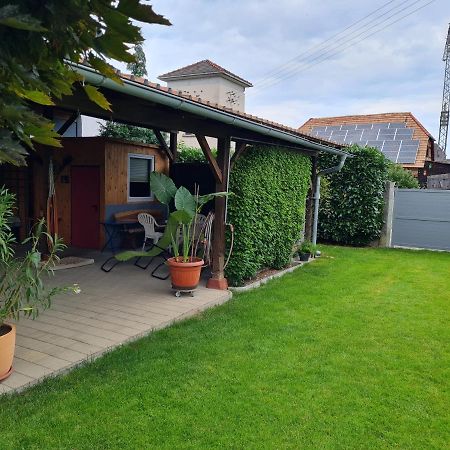 Haus Schneider Lägenhet Kappel-Grafenhausen Exteriör bild
