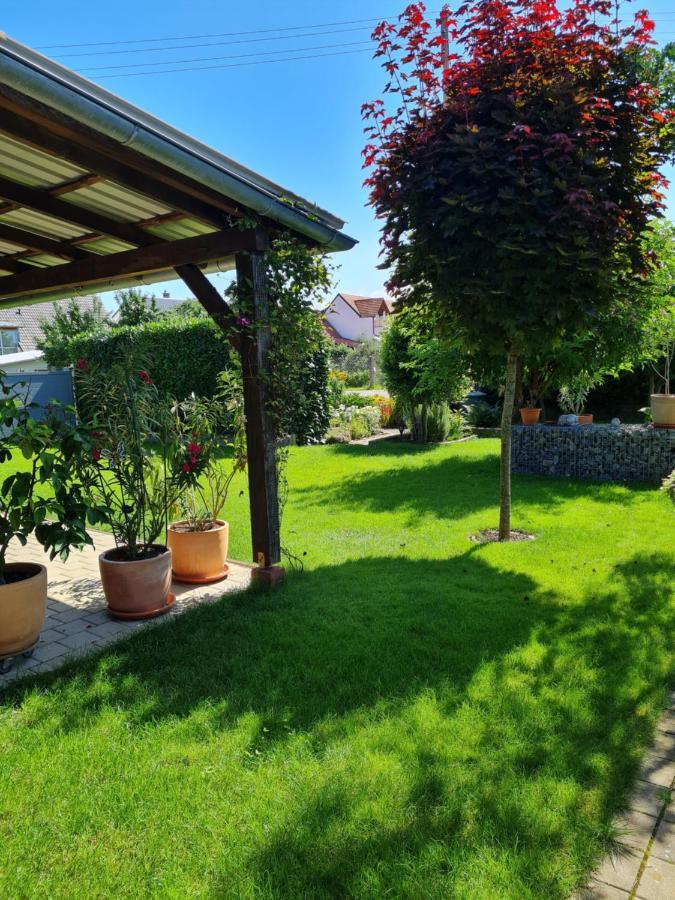 Haus Schneider Lägenhet Kappel-Grafenhausen Exteriör bild