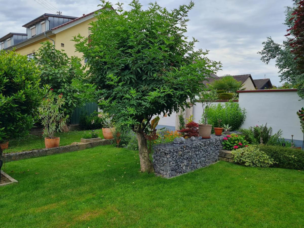 Haus Schneider Lägenhet Kappel-Grafenhausen Exteriör bild